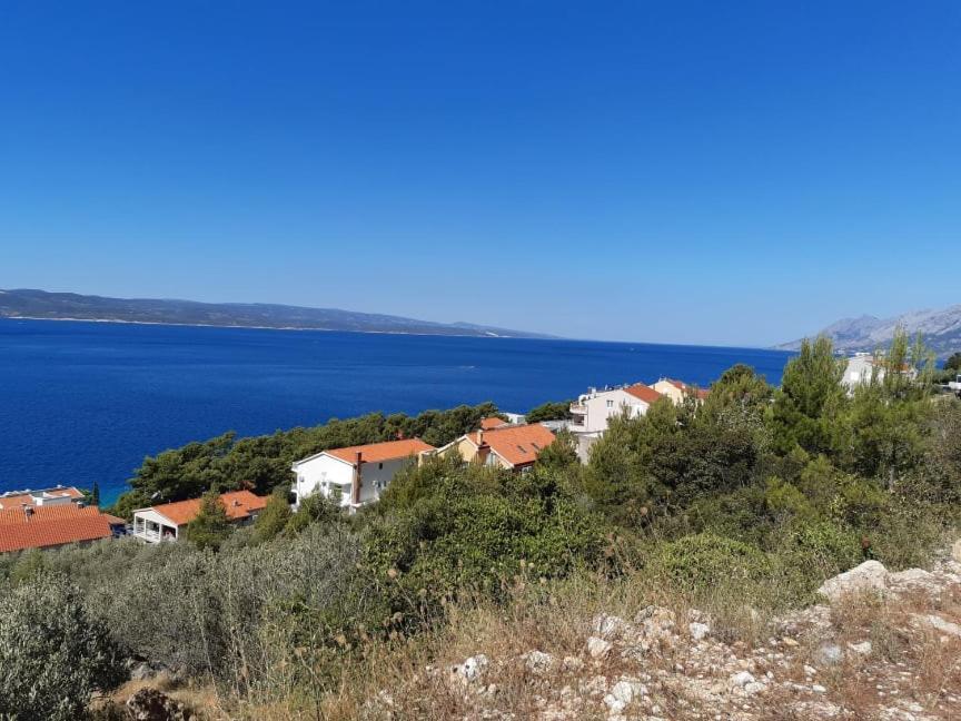 Peace And Quiet Apartment In Brela, Croatia Buitenkant foto